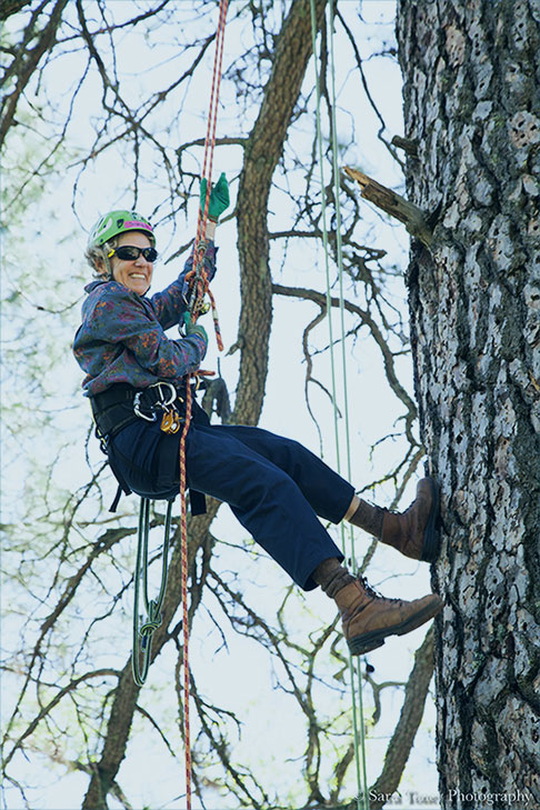 Jocelyn Cohen Tree Climbing