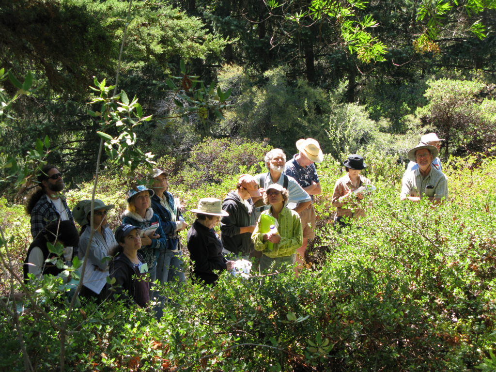 Field class at East bay Regional Parks Botanic Garden, the largest Californian native garden in northern California.