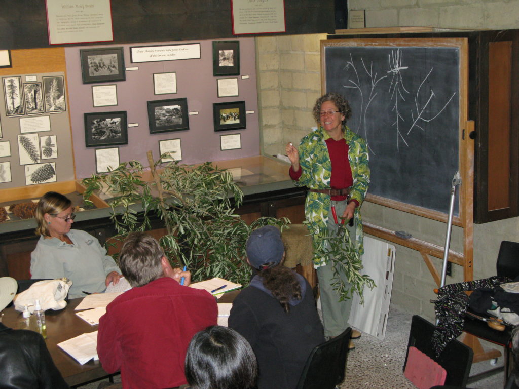 Lecture portion on pruning 