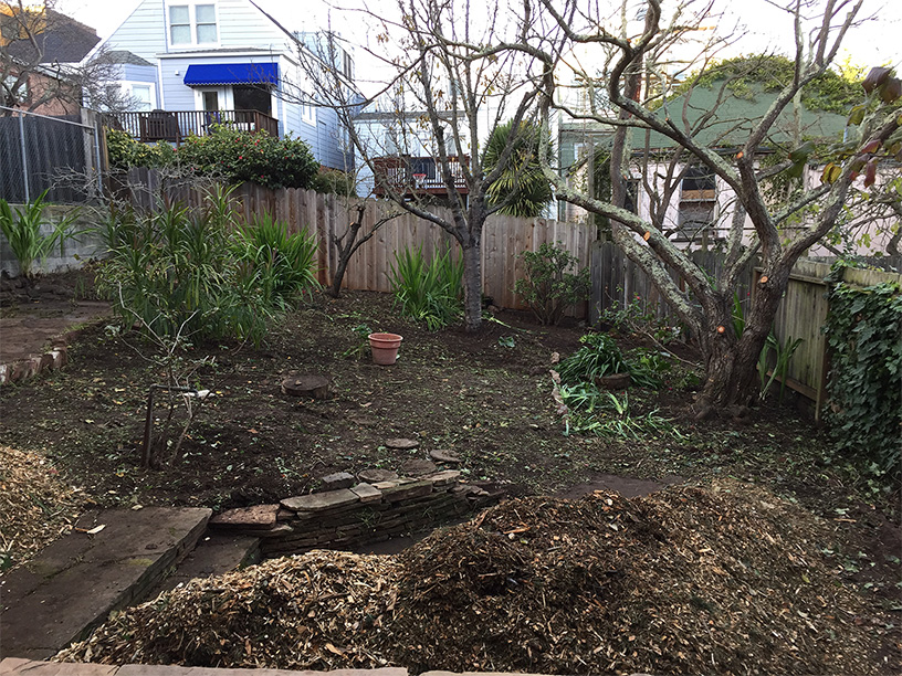 After cleanup and pruning, preparation to mulch the landscape