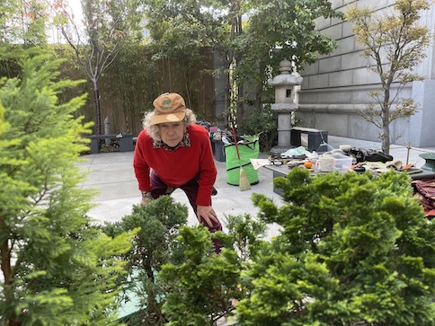 Photo of Jocelyn Cohen assessing dwarf conifers in the Peterson garden, Asian Art Museum, Photo by Patricia Antelles, 2022
