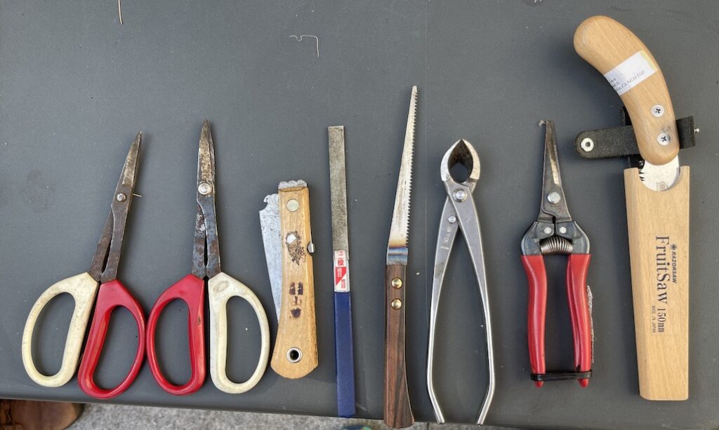 Photo of assorted pruning tools for dwarf or bonsai trees